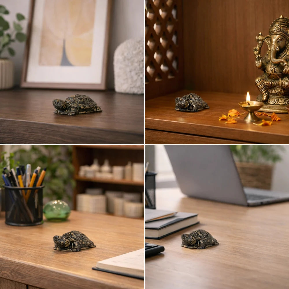 Siddh Pyrite Tortoise (Kachhua)