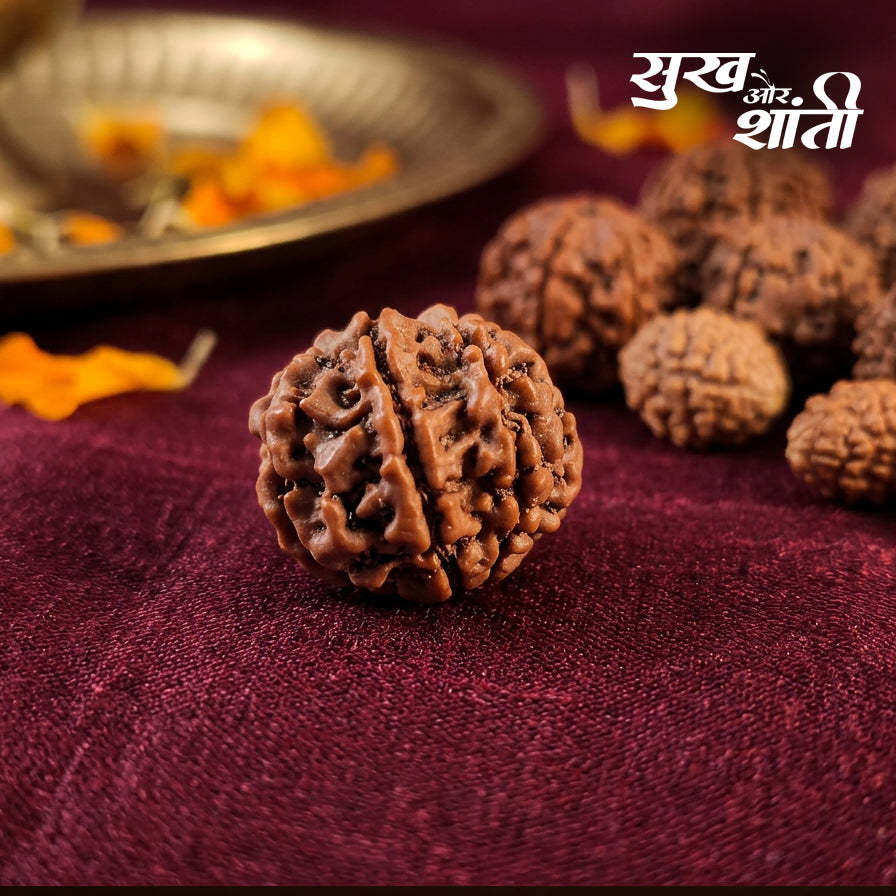 7 Mukhi Rudraksh
