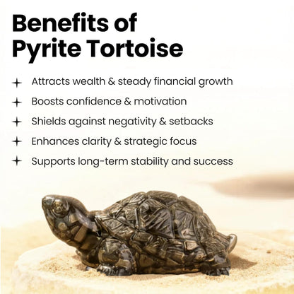 Pyrite Tortoise (Kachhua)