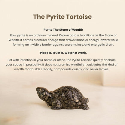Pyrite Tortoise (Kachhua)