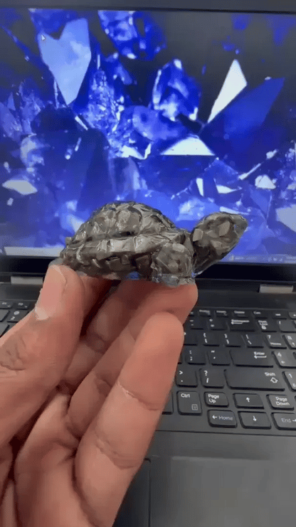 Siddh Pyrite Tortoise (Kachhua)