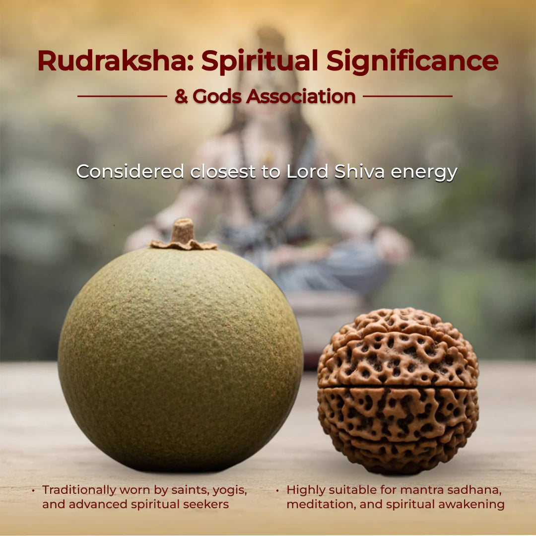 Siddh Rudraksha Bracelet | Golden Capped