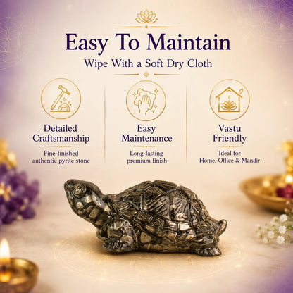 Siddh Pyrite Tortoise (Kachhua)