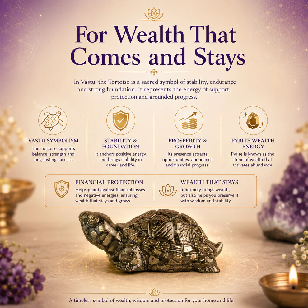 Siddh Pyrite Tortoise (Kachhua)