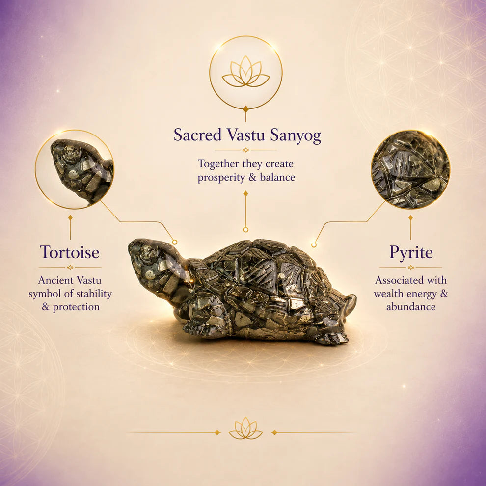 Siddh Pyrite Tortoise (Kachhua)